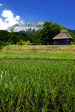 Rural Japan Mitsukue 御机