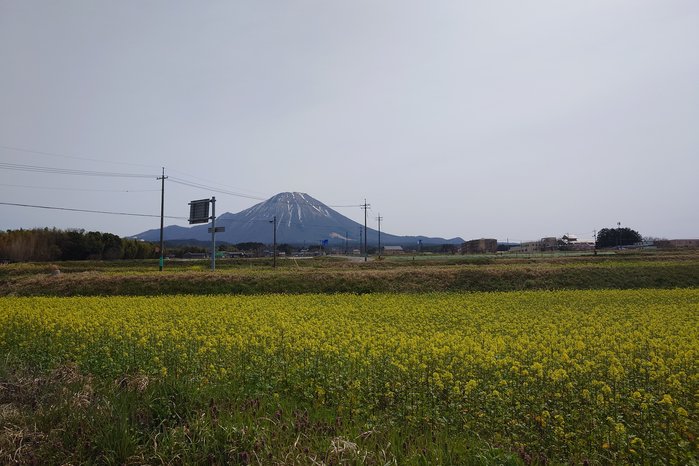 (2024.4.2)丸山.JPG