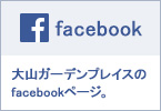 facebooky[W