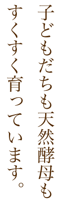 子どもたちも天然酵母もすくすく育っています