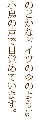 のどかなドイツの森のように小鳥の声で目覚めています。