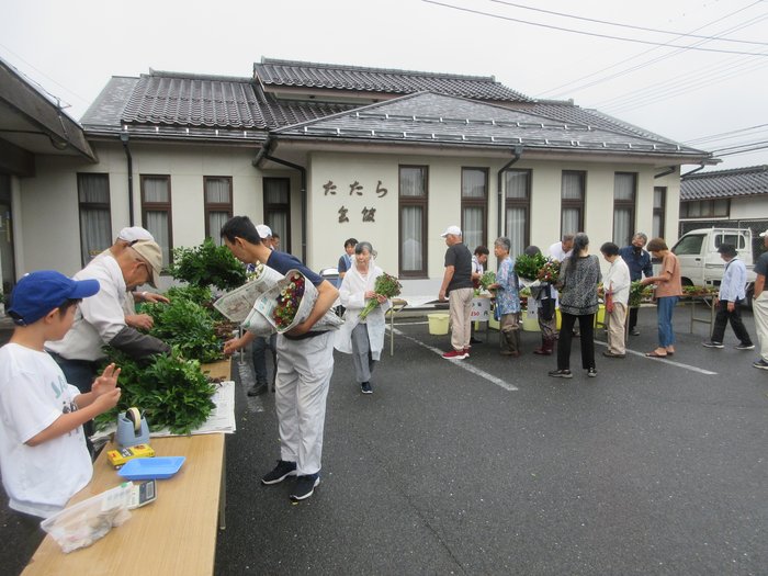 盆花販売の様子