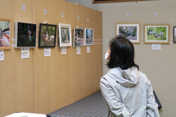 202210アサギマダラ写真展.jpg