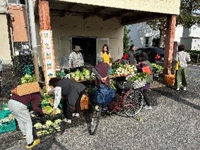 日光新線市場