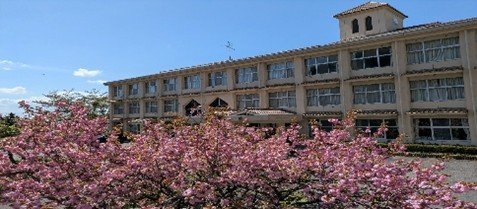 日光公民館桜(1).jpg