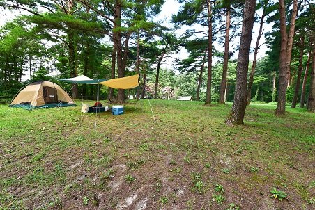 DSC_1847.JPG