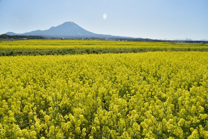 (2025.4.21)須村②.JPG