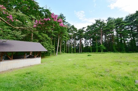 DSC_1854.JPG