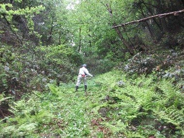 間地峠草刈り②.jpg
