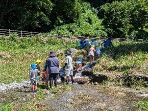 保育所の園児が川遊びをする様子