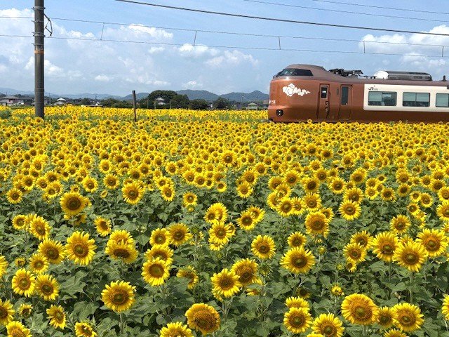 遠藤②(2025.8.8).jpg