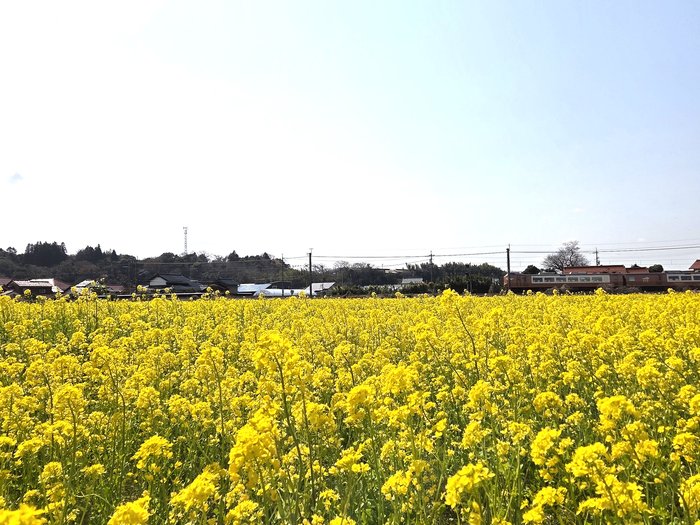(2025.4.4)岸本②.jpg