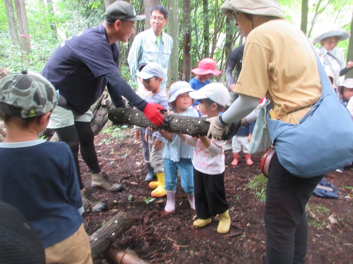 ホダ木をみんなで協力して運搬