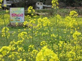 画像3.jpg