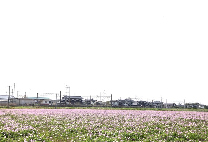 (2025.4.17)岸本③.jpg