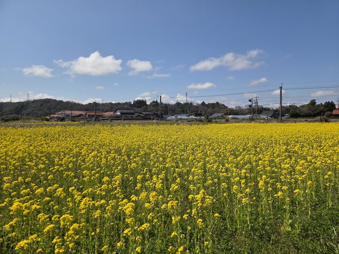 (2026.3.26)岸本②