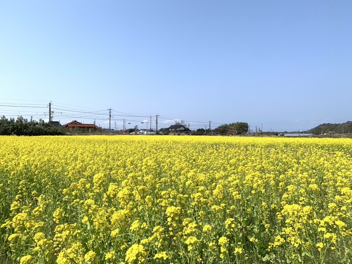 (2025.4.4)岸本①.jpg
