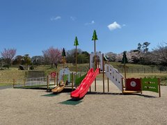 総合公園遊具１
